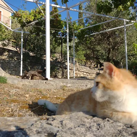 Ithakihouse Ii Casa de Férias *