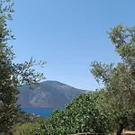 度假居 Ithakihouse Ii 瓦西